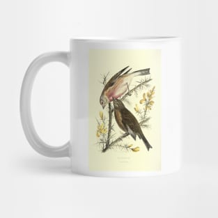 Linnets Mug